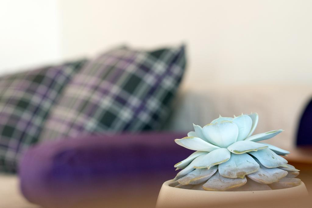 Beach Guesthouse Mediteran Podstrana Rom bilde