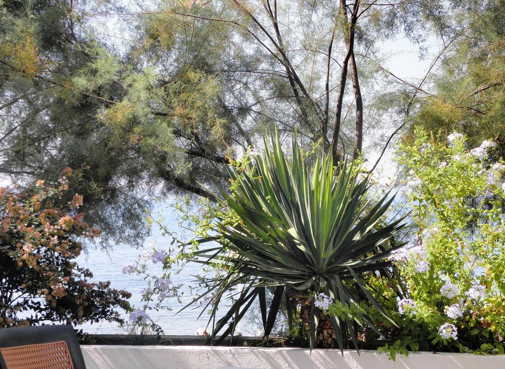 Beach Guesthouse Mediteran Podstrana Rom bilde