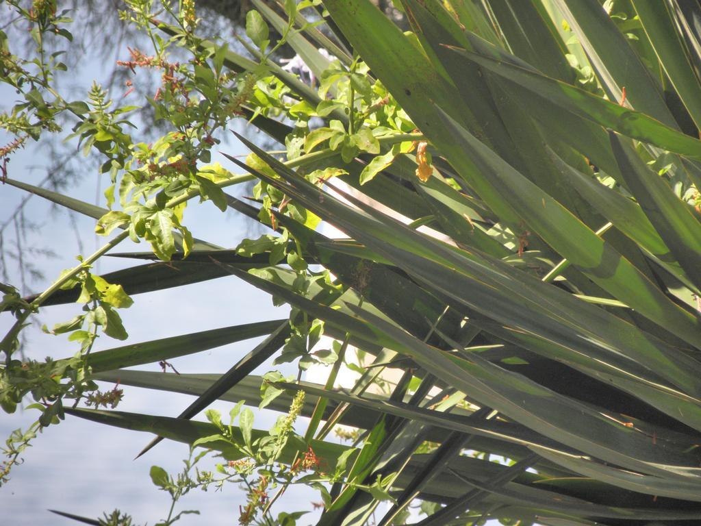 Beach Guesthouse Mediteran Podstrana Rom bilde