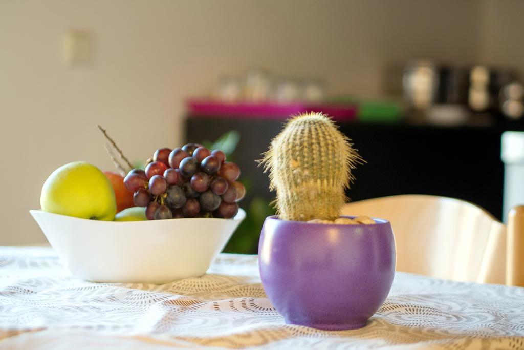 Beach Guesthouse Mediteran Podstrana Rom bilde
